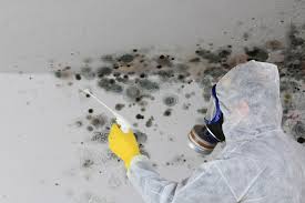 Best Asbestos and Lead Testing During Mold Inspection in Susanville, CA